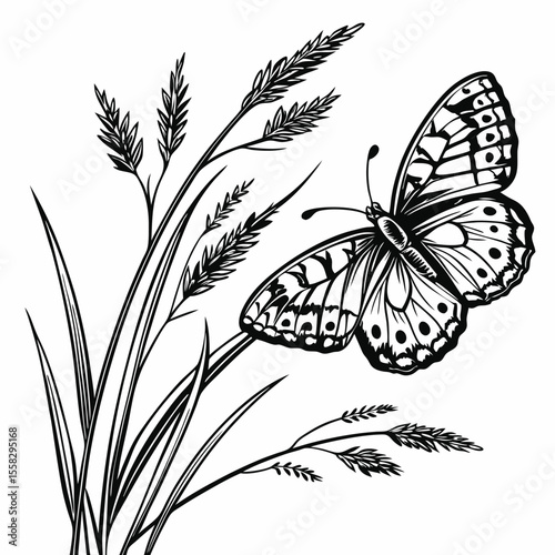 Black and white butterfly drawing, perched on blades of grass
