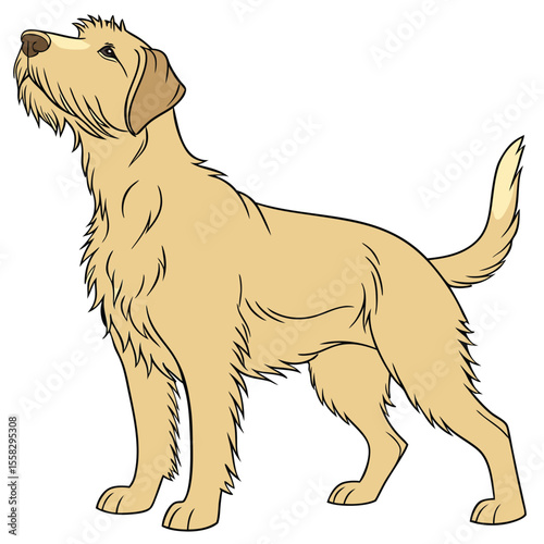 Cartoon illustration of a dog standing and looking up with a furry face