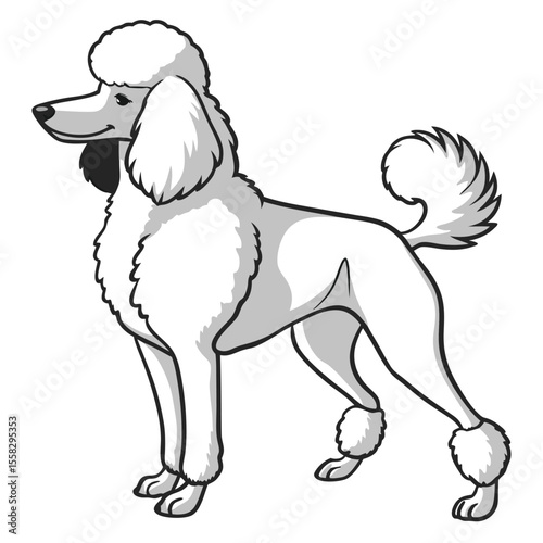 Cartoon illustration of a standard poodle dog standing in profile view