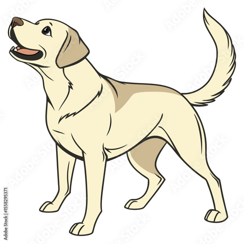 Cartoon illustration of a light colored Labrador Retriever looking up expectantly