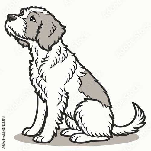 Cute fluffy dog illustration sitting looking upwards with a hopeful gaze