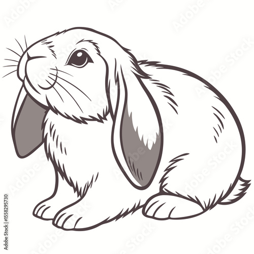 Detailed Line Art Illustration of a Lop Eared Rabbit Sitting Down