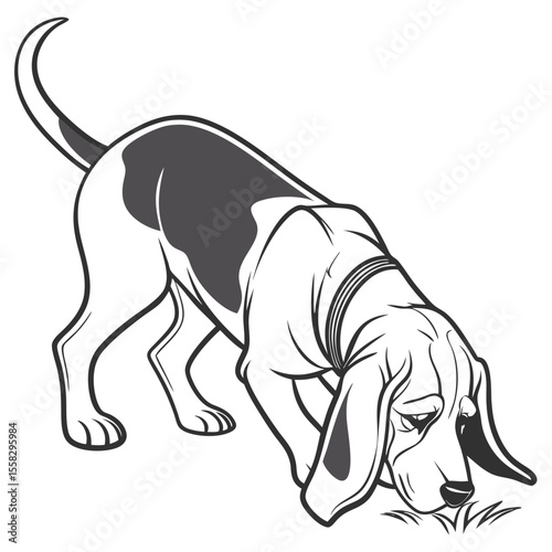 Hound dog illustration sniffing the ground with a keen sense of smell
