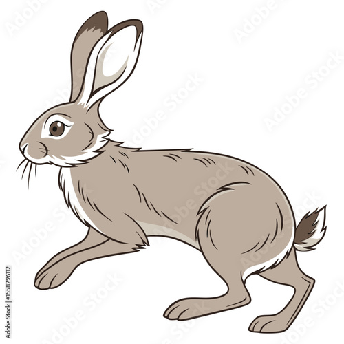 Illustration of a european hare in motion with an outlined style