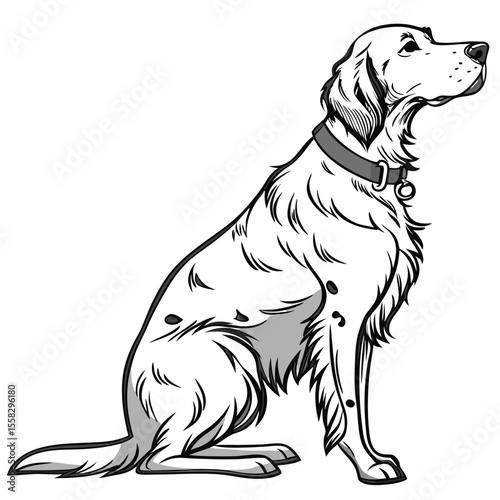 Illustration of a majestic Irish Setter dog sitting patiently with a collar
