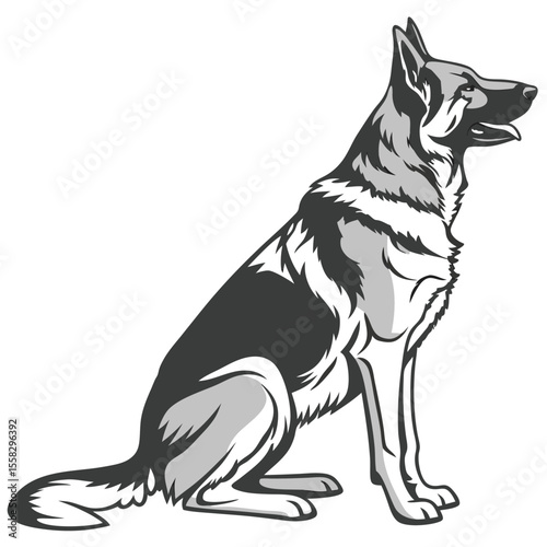 Majestic German Shepherd Sitting Alert and Vigilant in a Stylized Vector Image