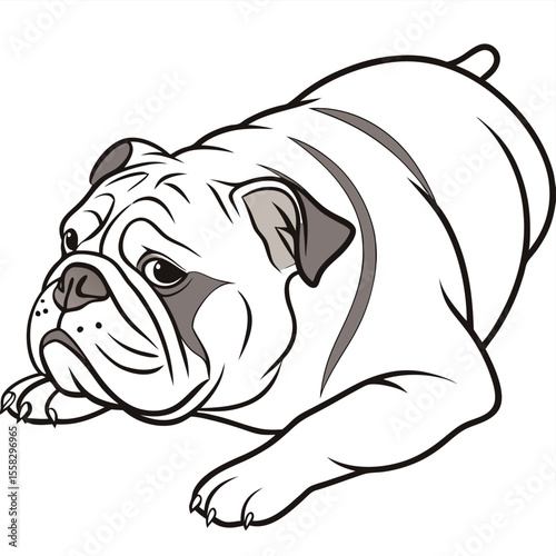 Stylized illustration of a bulldog lying down with a neutral expression