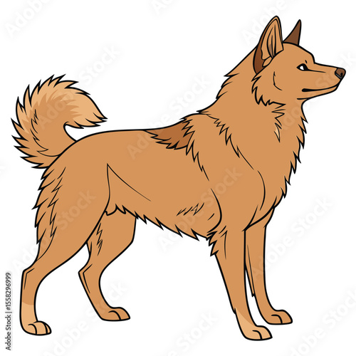 Stylized illustration of a tan Spitztype dog standing in profile view