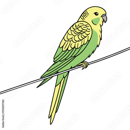 Blue and yellow macaw parrot on a tropical branch, a colorful exotic bird in nature