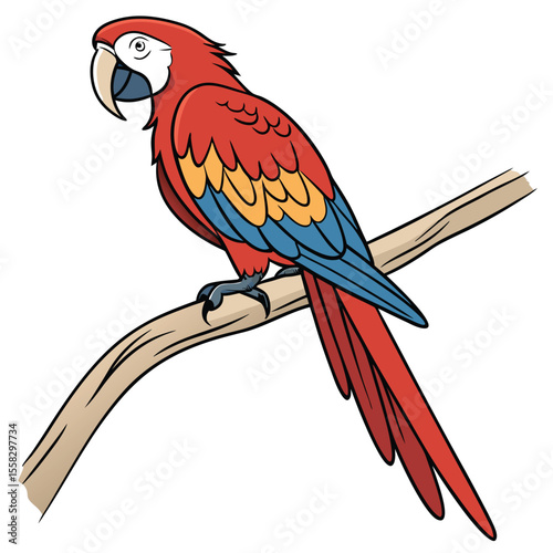 A colorful red and yellow macaw, a tropical bird, is isolated on a white background