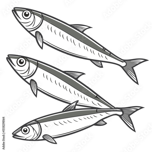Fresh sea fish set on a white background for food and illustration