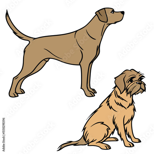 Two adorable cartoon dogs a short haired breed and a terrier sitting