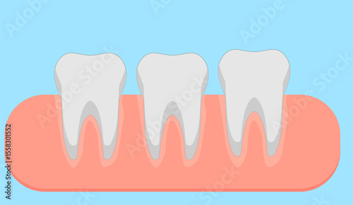 healthy teeth in the gum on a blue background, 
