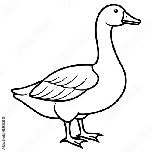Simple Snow Goose Drawing