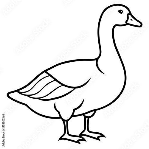 Simple Snow Goose Drawing