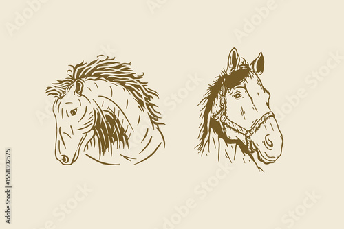 Horse Head Portraits – Vintage Western Illustration, Evoking both grace and strength, this vintage-inspired Western piece is ideal for rustic labels, equine designs, or cowboy-themed visual identity