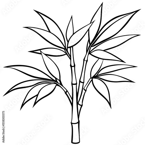Bamboo Grove Art Vector