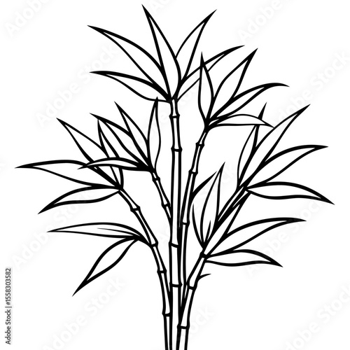 Bamboo Grove Art Vector
