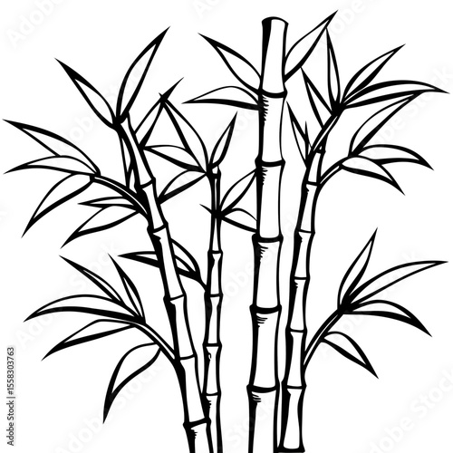 Bamboo Grove Art Vector