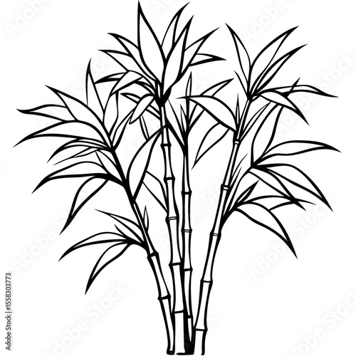 Bamboo Grove Art Vector