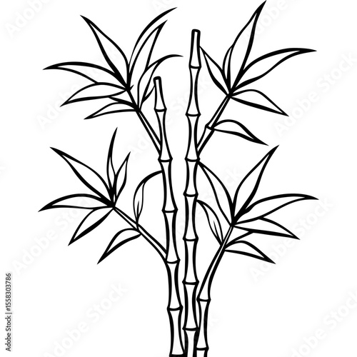 Bamboo Grove Art Vector