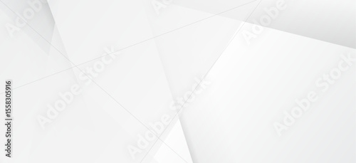 Background abstract white color design. clean style template. line art texture graphic. layout poster, banner.