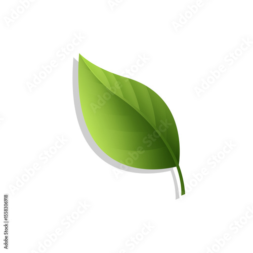 Leaf green