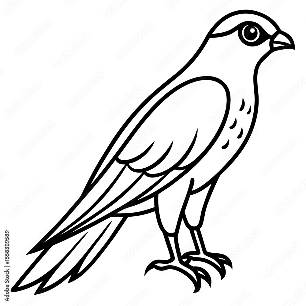 Obraz premium Sparrowhawk Vector Outline