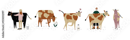 Cow with Udder and Bell Grazing on Pasture as Dairy Cattle Breeding and Farming Vector Set
