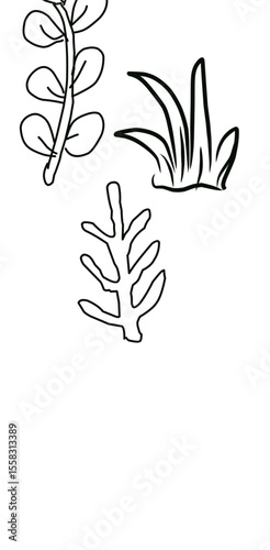 hand holding a flower