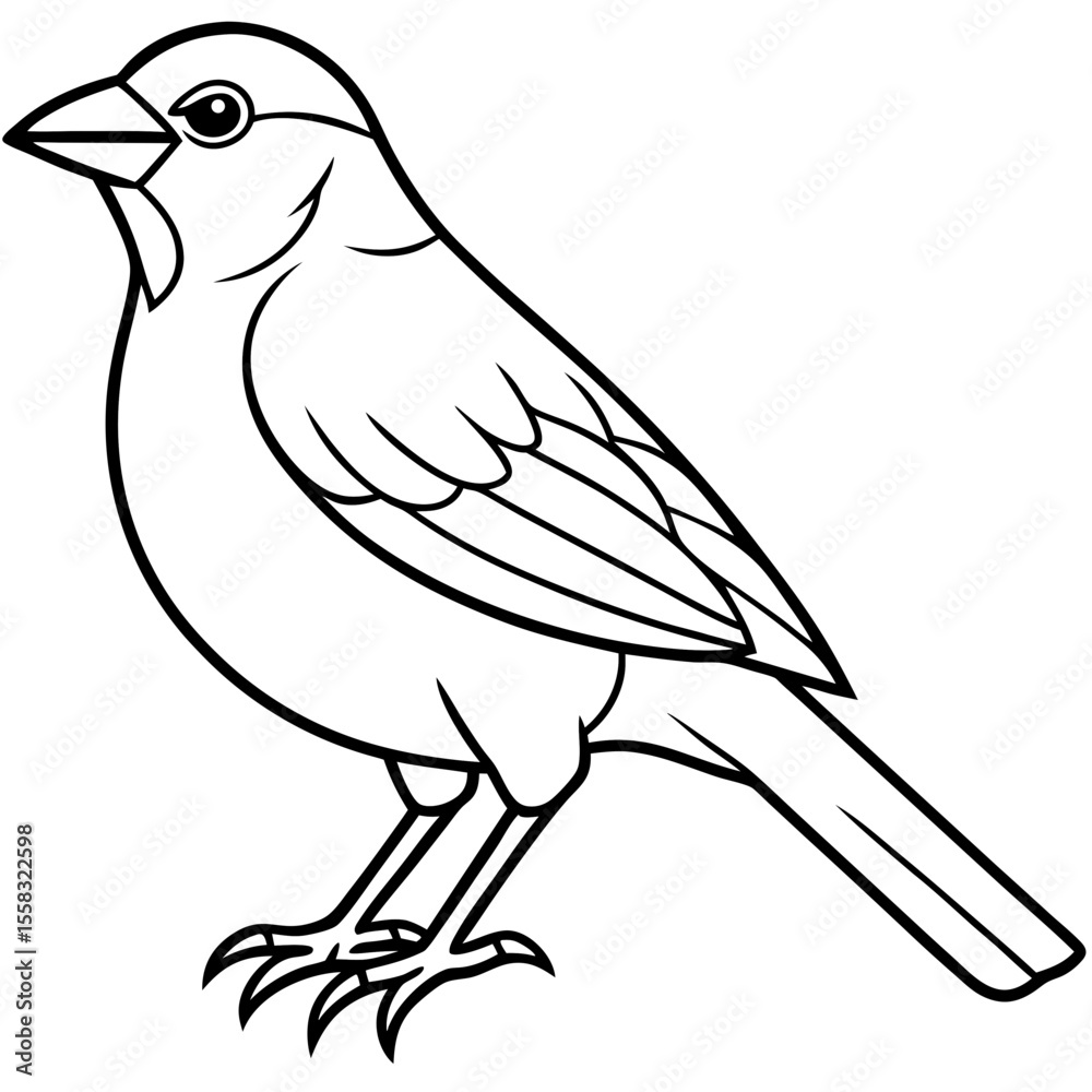 Obraz premium Weaver Bird Silhouette Vector Drawing