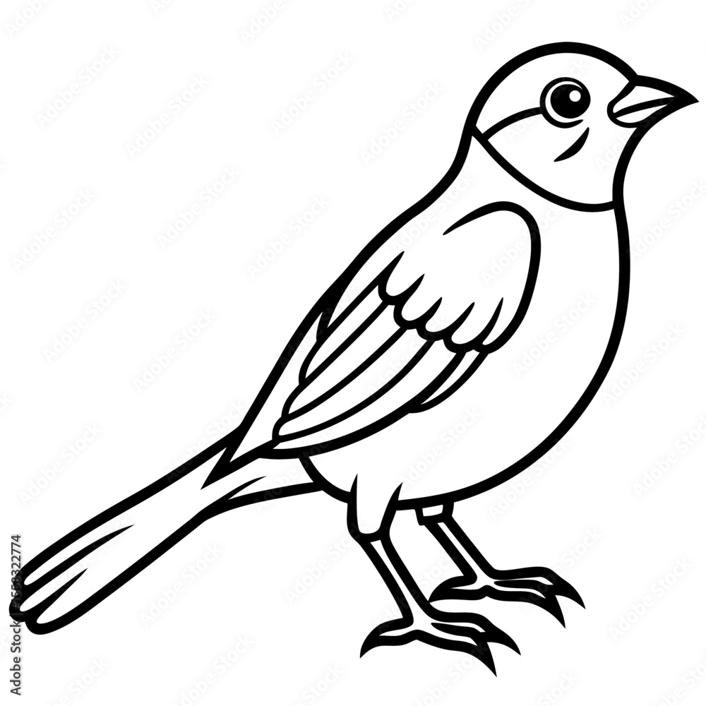 Obraz premium Weaver Bird Silhouette Vector Drawing