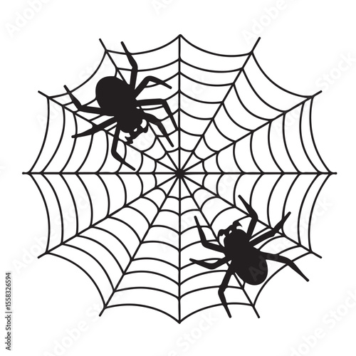 A scary black spider on a creepy cobweb, a vector illustration of a dangerous arachnid