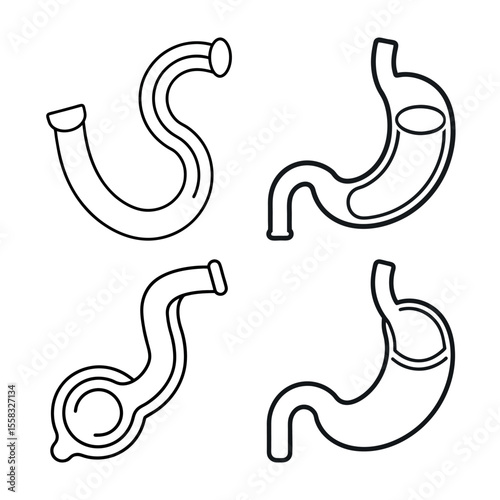 Esophagus Outline Line Art Vector