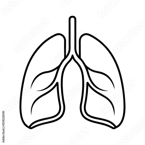 Lungs Human Organ Line Art Sketch