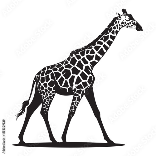 Giraffe vector illustration: a tall, wild, brown mammal with long neck and spots, standing isolated on a white background