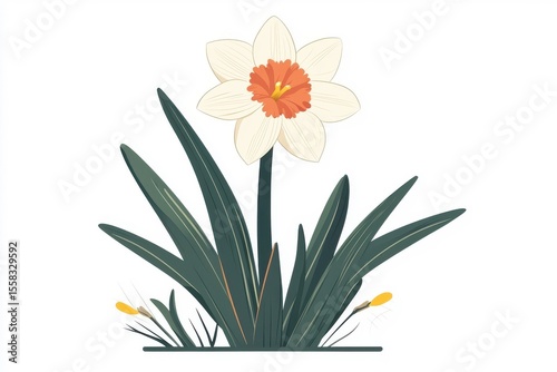A flat style illustration of a daffodil, isolated on a white background, highlighting its lovely features and artistic details.
