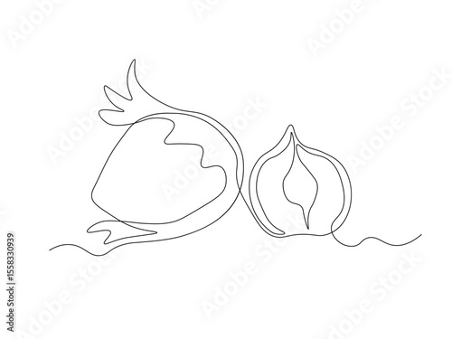 Abstract hazelnut, filbert, continuous single one line art hand drawing sketch logo