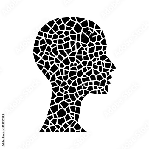 Mosaic-patterned female silhouette symbolizing complexity, identity, or diversity.

