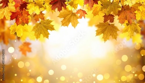 Autumn leaves falling nature park photograph sunny environment close-up view seasonal beauty