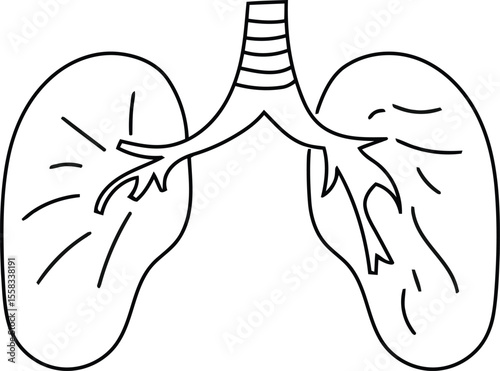 World Lung Cancer Day - Outline Human Lungs Anatomy Diagram