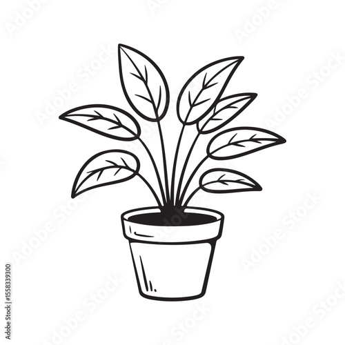 Hand-Drawn Illustration of a Potted Plant Simple Houseplant Sketch.