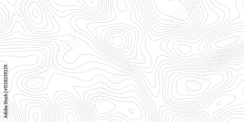 White Topographic Vector Design with Gentle Elevation Lines and Minimalistic Flow Mapping.