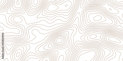 Clean Abstract Contour Topographic Line Art with White Seamless Texture Design.