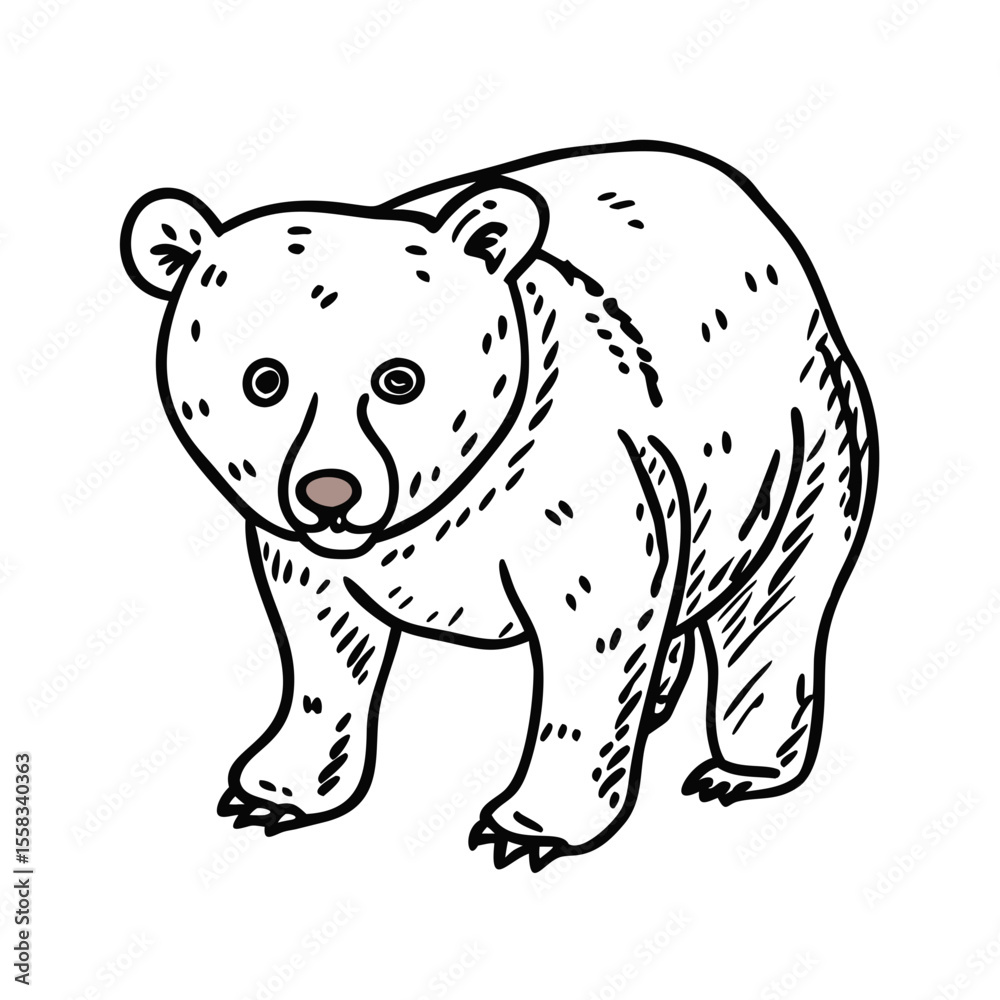 Fototapeta premium Hand drawn bear icon isolated 