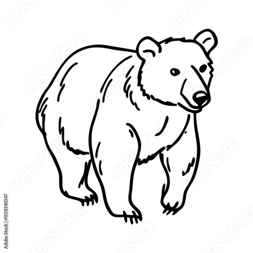 Hand drawn bear icon isolated 