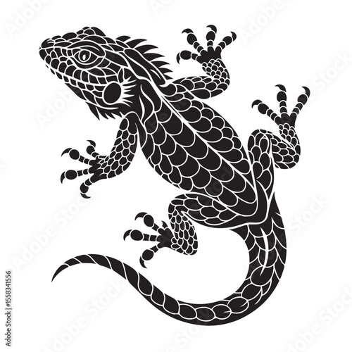 Gecko lizard reptile isolated on black background