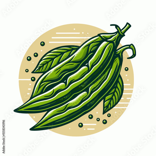 vector illustration of fresh long beans