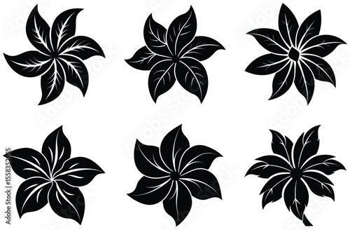 Black floral petal designs with vein details petals leaves