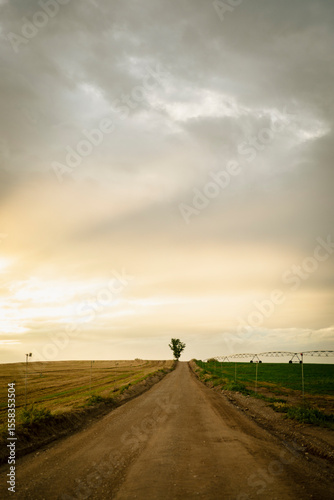 A long dirt road stretches between fields under a dramatic sunset sky